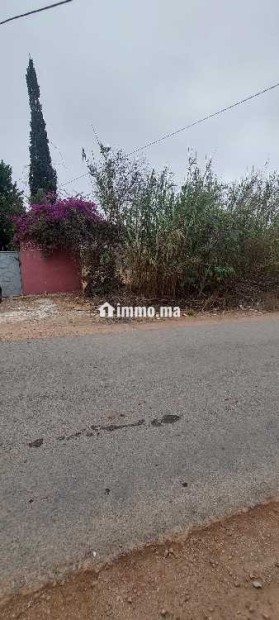 Terrain à vendre à Oued Maleh – Route de Bensliman - Vente Immobilier - Casablanca - photo 1