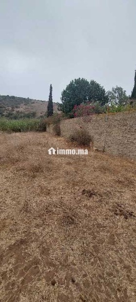 Terrain à vendre à Oued Maleh – Route de Bensliman - Vente Immobilier - Casablanca - photo 2