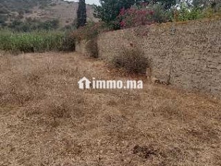 Terrain à vendre à Oued Maleh – Route de Bensliman - Terrain à vendre - Casablanca
