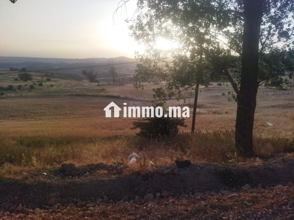 Terrain en vente à Azrou. Surface de 10000 m² - Terrain à vendre - Azrou