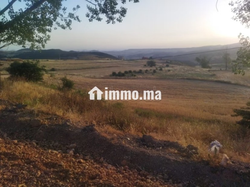 Terrain en vente à Azrou. Surface de 10000 m² - Vente Immobilier - Azrou - photo 2
