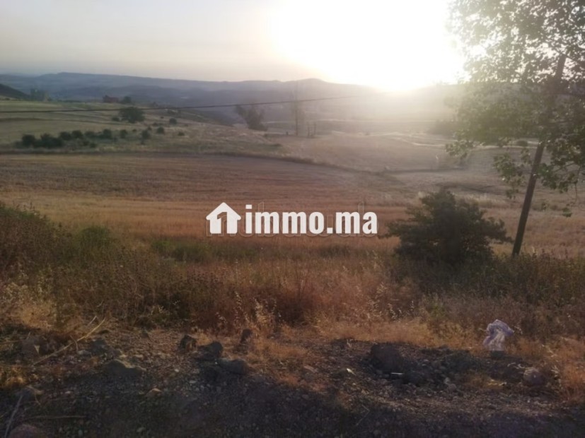 Terrain en vente à Azrou. Surface de 10000 m² - Vente Immobilier - Azrou - photo 4