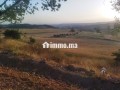 Terrain en vente à Azrou. Surface de 10000 m² - miniature 2