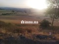 Terrain en vente à Azrou. Surface de 10000 m² - miniature 4