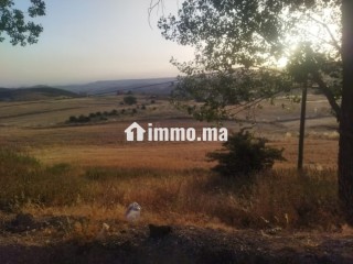 Terrain en vente à Azrou. Surface de 10000 m² - Terrain à vendre - Azrou