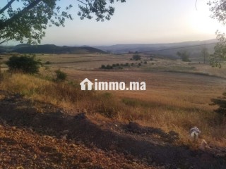 Terrain en vente à Azrou. Surface de 10000 m² - Terrain à vendre - Azrou