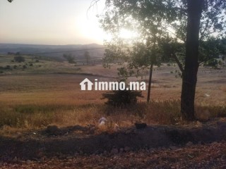 Terrain en vente à Azrou. Surface de 10000 m² - Terrain à vendre - Azrou