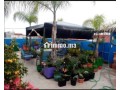 Opportunité à ne pas rater bel Appartement pour un prix de 880.000 dh - miniature 7