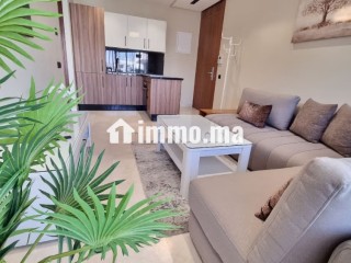 studio-meuble-de-luxe-a-louer-a-californie