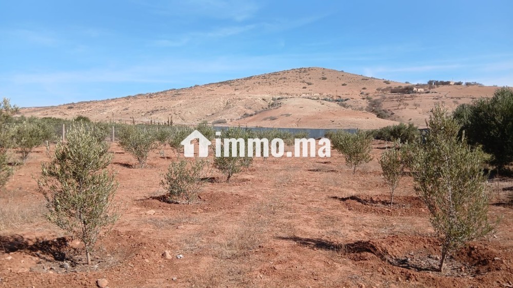 Projet immobilier - Vente Immobilier - Berkane - photo 6