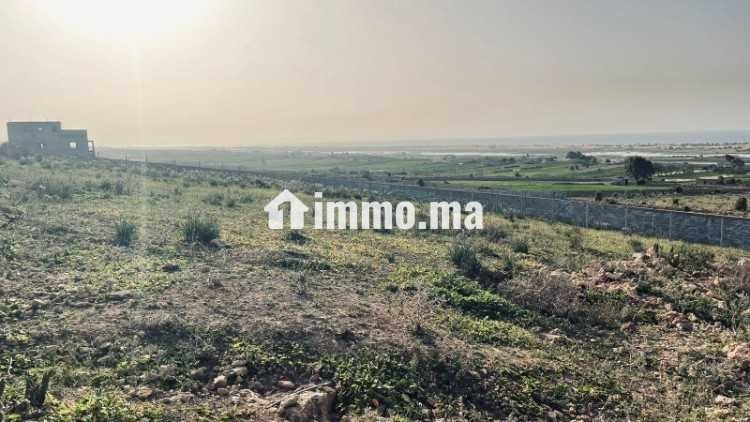 VENDRE – Terrain 3 300 m² – Titré – Route de Ouali - Vente Immobilier - Casablanca - photo 1