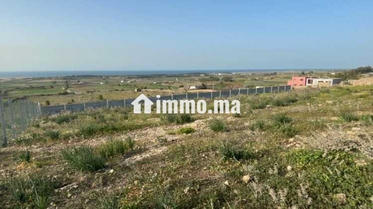 VENDRE – Terrain 3 300 m² – Titré – Route de Ouali - Vente Immobilier - Casablanca - photo 2