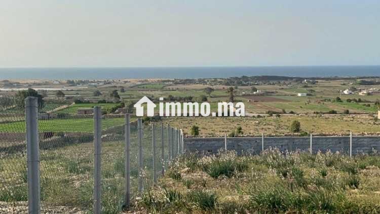 VENDRE – Terrain 3 300 m² – Titré – Route de Ouali - Vente Immobilier - Casablanca - photo 3
