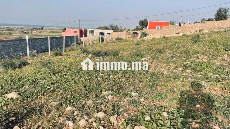 VENDRE – Terrain 3 300 m² – Titré – Route de Ouali - Vente Immobilier - Casablanca - photo 4