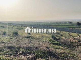 VENDRE – Terrain 3 300 m² – Titré – Route de Ouali - Terrain à vendre - Casablanca