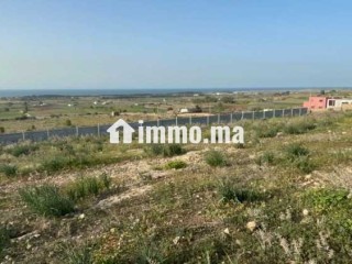 VENDRE – Terrain 3 300 m² – Titré – Route de Ouali - Terrain à vendre - Casablanca