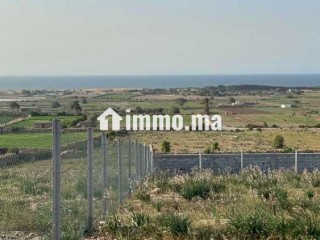 VENDRE – Terrain 3 300 m² – Titré – Route de Ouali - Terrain à vendre - Casablanca