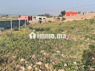 VENDRE – Terrain 3 300 m² – Titré – Route de Ouali - Terrain à vendre - Casablanca