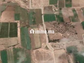 VENDRE – Terrain 3 300 m² – Titré – Route de Ouali - Terrain à vendre - Casablanca
