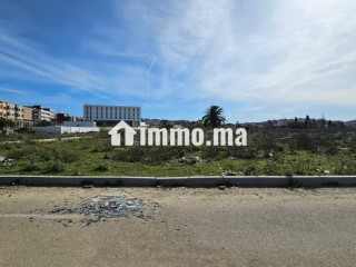 Terrain 116 m2 Lotissement Gzenaia 7000dh/m² - Terrain à vendre - Tanger