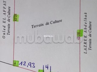 Terrain constructible a seulement 200dh/M² - Terrain à vendre - Marrakech