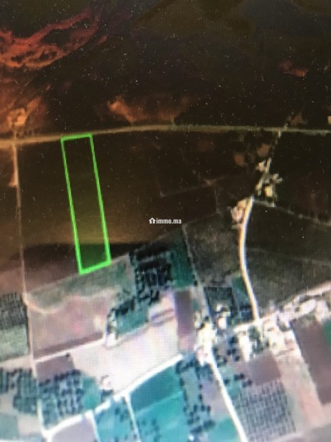 Terrain agricole à Oulad Yaich par Beni Mellal - Vente Immobilier - Beni Mellal - photo 1
