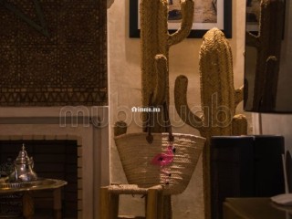 Splendide riad piscine jacuzzi - Villa à vendre - Marrakech
