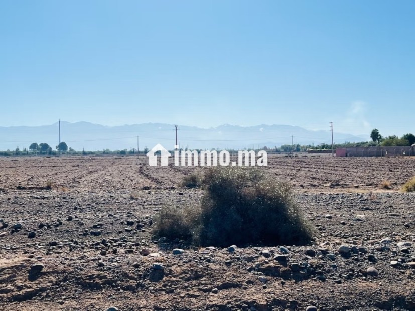 Terrain à la vente à Route de Tahanaout. Surface totale 10000 m² - Vente Immobilier - Marrakech - photo 2