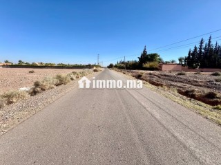 Terrain à la vente à Route de Tahanaout. Surface totale 10000 m² - Terrain à vendre - Marrakech