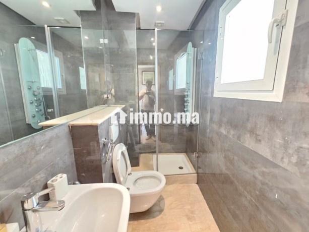 cosy-appartement-joliment-meuble-big-5