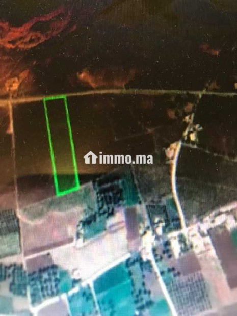 Terrain agricole à oulad yaich par beni mellal 1.4 ha - Vente Immobilier - Beni Mellal - photo 1