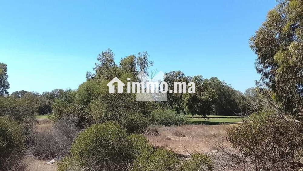 Terrain à Vendre de 501.0 m² à Bouznika, Bouznika Bay - Vente Immobilier - Bouznika - photo 7