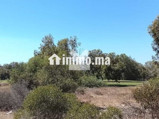 Terrain à Vendre de 501.0 m² à Bouznika, Bouznika Bay - Terrain à vendre - Bouznika