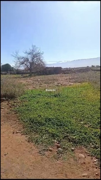 Terrain 4 ha titré à vendre Rte Ourika - Vente Immobilier - Marrakech - photo 1