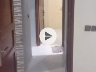 Appartement a louer - Appartement à louer - Meknes