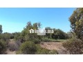 terrain-a-vendre-de-5010-m2-a-bouznika-bouznika-bay-small-6
