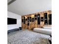 Appartement Rarissime Location Gauthier - miniature 2