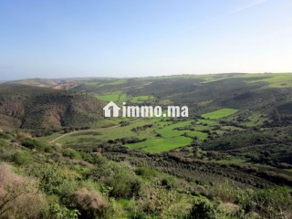 Terrain à la vente à Souissi. Superficie 4936 m² - Terrain à vendre - Rabat