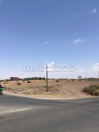 terrain-a-louer-de-50000-m2-a-marrakech-route-de-ouarzazat-big-1