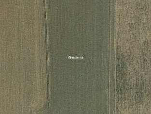 ارض للبيع على طريق RP3304 - Terrain à vendre - El Mansouria