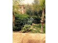 A louer. Bel appartement a la palmeraie - miniature 6