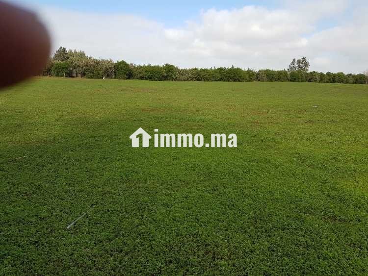 Terrain industriel 40 000 m² à Témara – Zone IN2 - Vente Immobilier - Rabat - photo 1
