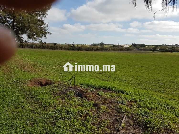 Terrain industriel 40 000 m² à Témara – Zone IN2 - Vente Immobilier - Rabat - photo 2