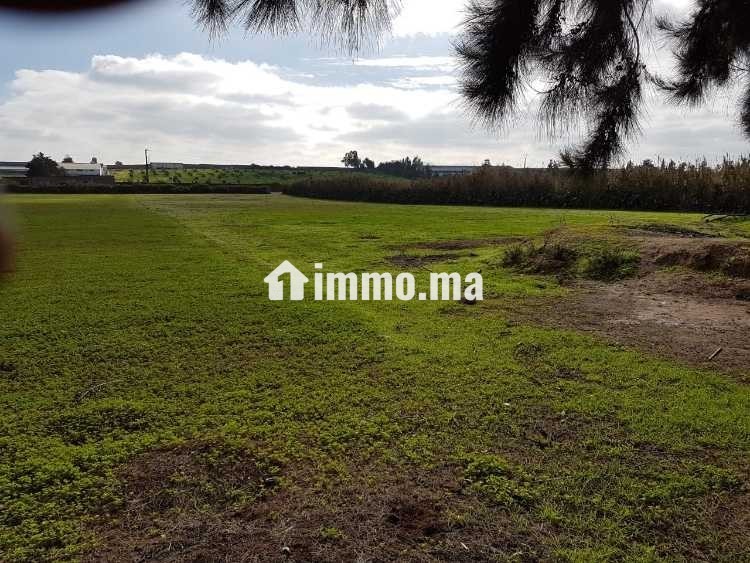 Terrain industriel 40 000 m² à Témara – Zone IN2 - Vente Immobilier - Rabat - photo 3