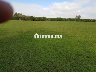Terrain industriel 40 000 m² à Témara – Zone IN2 - Terrain à vendre - Rabat