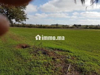 Terrain industriel 40 000 m² à Témara – Zone IN2 - Terrain à vendre - Rabat