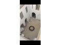 Trouvez votre riad à acheter à Riad Zitoun. Superficie 210 m². Grande piscine - miniature 1