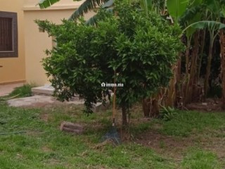 ضيعة فلاحية مجهزة - Terrain à vendre - Sale