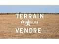 Terrain d’1 Hectare à Marrakech Bab Atlas – Idéal pour 4 Villas - miniature 2