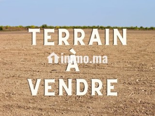 Terrain d’1 Hectare à Marrakech Bab Atlas – Idéal pour 4 Villas - Villa à vendre - Autre
